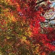 ヒメ日記 2025/11/06 12:40 投稿 いずみ♡M気強めのおっとり熟女♡ 富山高岡ちゃんこ