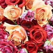 ヒメ日記 2025/11/06 14:25 投稿 いずみ♡M気強めのおっとり熟女♡ 富山高岡ちゃんこ