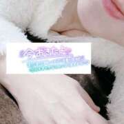 ヒメ日記 2025/11/14 06:19 投稿 いずみ♡M気強めのおっとり熟女♡ 富山高岡ちゃんこ