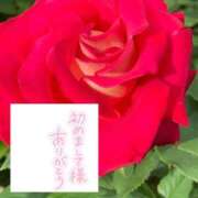 ヒメ日記 2025/11/19 08:10 投稿 いずみ♡M気強めのおっとり熟女♡ 富山高岡ちゃんこ