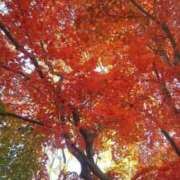 ヒメ日記 2025/11/20 13:08 投稿 いずみ♡M気強めのおっとり熟女♡ 富山高岡ちゃんこ