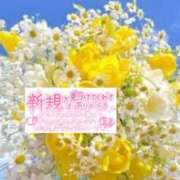 ヒメ日記 2025/11/22 17:55 投稿 いずみ♡M気強めのおっとり熟女♡ 富山高岡ちゃんこ