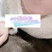 ヒメ日記 2025/11/25 06:16 投稿 いずみ♡M気強めのおっとり熟女♡ 富山高岡ちゃんこ