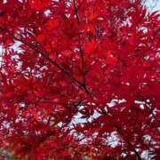 ヒメ日記 2025/11/27 14:45 投稿 いずみ♡M気強めのおっとり熟女♡ 富山高岡ちゃんこ