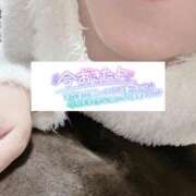 ヒメ日記 2025/11/29 06:24 投稿 いずみ♡M気強めのおっとり熟女♡ 富山高岡ちゃんこ