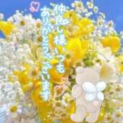 ヒメ日記 2025/11/30 08:20 投稿 いずみ♡M気強めのおっとり熟女♡ 富山高岡ちゃんこ