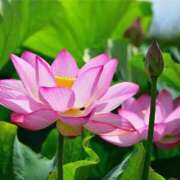 ヒメ日記 2025/12/11 10:38 投稿 いずみ♡M気強めのおっとり熟女♡ 富山高岡ちゃんこ