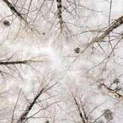 ヒメ日記 2025/12/14 17:40 投稿 いずみ♡M気強めのおっとり熟女♡ 富山高岡ちゃんこ