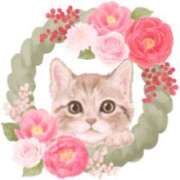 ヒメ日記 2025/12/31 13:35 投稿 いずみ♡M気強めのおっとり熟女♡ 富山高岡ちゃんこ