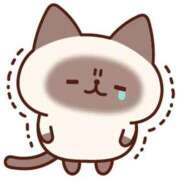 ヒメ日記 2026/01/26 08:58 投稿 いずみ♡M気強めのおっとり熟女♡ 富山高岡ちゃんこ