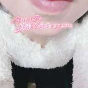 いずみ♡M気強めのおっとり熟女♡ 朝の何気ないつぶやき( *´꒳`)ｴﾍ日々是是 富山高岡ちゃんこ