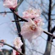 ヒメ日記 2026/03/06 15:53 投稿 いずみ♡M気強めのおっとり熟女♡ 富山高岡ちゃんこ