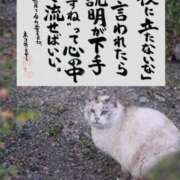 ヒメ日記 2026/03/19 15:13 投稿 いずみ♡M気強めのおっとり熟女♡ 富山高岡ちゃんこ