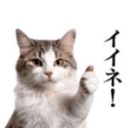 ヒメ日記 2026/03/22 08:16 投稿 いずみ♡M気強めのおっとり熟女♡ 富山高岡ちゃんこ