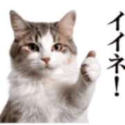 ヒメ日記 2026/03/25 14:50 投稿 いずみ♡M気強めのおっとり熟女♡ 富山高岡ちゃんこ