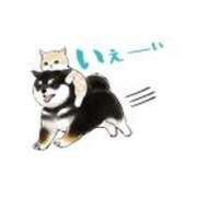 ヒメ日記 2026/03/30 13:11 投稿 いずみ♡M気強めのおっとり熟女♡ 富山高岡ちゃんこ