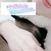 ヒメ日記 2026/04/03 06:13 投稿 いずみ♡M気強めのおっとり熟女♡ 富山高岡ちゃんこ