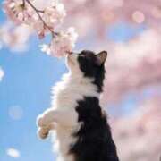 ヒメ日記 2026/04/09 08:15 投稿 いずみ♡M気強めのおっとり熟女♡ 富山高岡ちゃんこ