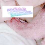 ヒメ日記 2026/04/10 06:20 投稿 いずみ♡M気強めのおっとり熟女♡ 富山高岡ちゃんこ