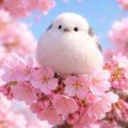 ヒメ日記 2026/04/12 08:15 投稿 いずみ♡M気強めのおっとり熟女♡ 富山高岡ちゃんこ