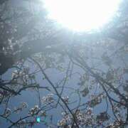 ヒメ日記 2026/04/13 07:52 投稿 いずみ♡M気強めのおっとり熟女♡ 富山高岡ちゃんこ