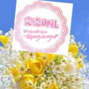 ヒメ日記 2026/04/14 11:08 投稿 いずみ♡M気強めのおっとり熟女♡ 富山高岡ちゃんこ