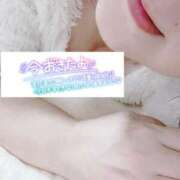 いずみ♡M気強めのおっとり熟女♡ 今朝のもぉーにんぐぅ－こぉ－るは(*ｐω-)｡O゜ 富山高岡ちゃんこ