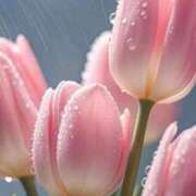 ヒメ日記 2026/04/15 08:05 投稿 いずみ♡M気強めのおっとり熟女♡ 富山高岡ちゃんこ