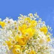 ヒメ日記 2026/04/15 13:41 投稿 いずみ♡M気強めのおっとり熟女♡ 富山高岡ちゃんこ