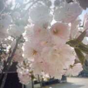 ヒメ日記 2026/04/17 12:06 投稿 いずみ♡M気強めのおっとり熟女♡ 富山高岡ちゃんこ