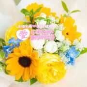 ヒメ日記 2026/04/20 08:11 投稿 いずみ♡M気強めのおっとり熟女♡ 富山高岡ちゃんこ