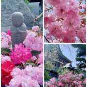 ヒメ日記 2026/04/20 11:35 投稿 いずみ♡M気強めのおっとり熟女♡ 富山高岡ちゃんこ