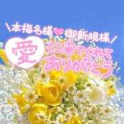 ヒメ日記 2026/05/04 08:10 投稿 いずみ♡M気強めのおっとり熟女♡ 富山高岡ちゃんこ
