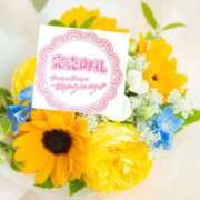 ヒメ日記 2026/05/04 09:13 投稿 いずみ♡M気強めのおっとり熟女♡ 富山高岡ちゃんこ