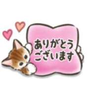 ヒメ日記 2026/05/04 17:43 投稿 いずみ♡M気強めのおっとり熟女♡ 富山高岡ちゃんこ