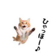 ヒメ日記 2026/05/05 16:20 投稿 いずみ♡M気強めのおっとり熟女♡ 富山高岡ちゃんこ