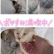 ヒメ日記 2026/05/24 07:41 投稿 いずみ♡M気強めのおっとり熟女♡ 富山高岡ちゃんこ