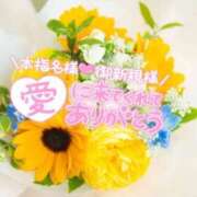 ヒメ日記 2026/07/20 08:24 投稿 いずみ♡M気強めのおっとり熟女♡ 富山高岡ちゃんこ
