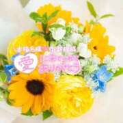 ヒメ日記 2026/08/10 08:28 投稿 いずみ♡M気強めのおっとり熟女♡ 富山高岡ちゃんこ