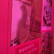 ヒメ日記 2025/10/16 17:15 投稿 しおり 中洲秘密倶楽部