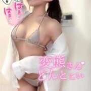 ヒメ日記 2025/10/07 09:06 投稿 キイ バニーコレクション秋田店