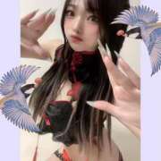 ヒメ日記 2024/12/15 16:15 投稿 つばさ クラブハウスシェル