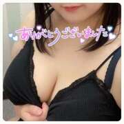 ヒメ日記 2025/04/17 21:35 投稿 とわ 白いぽっちゃりさん