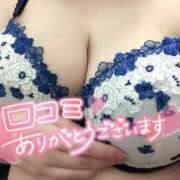 ヒメ日記 2025/06/12 18:22 投稿 とわ 白いぽっちゃりさん