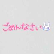 ヒメ日記 2025/08/14 06:32 投稿 とわ 白いぽっちゃりさん