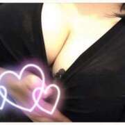 ヒメ日記 2025/11/21 09:42 投稿 とわ 白いぽっちゃりさん