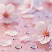 いろは 予定✏️ 完熟ばなな札幌・すすきの