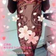 ヒメ日記 2025/04/12 09:33 投稿 かすみ 上野デリヘル倶楽部