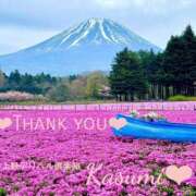 ヒメ日記 2025/05/22 10:01 投稿 かすみ 上野デリヘル倶楽部