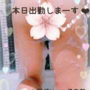 ヒメ日記 2026/03/15 09:02 投稿 かすみ 上野デリヘル倶楽部